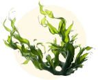 SPIRULINE
