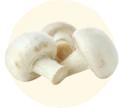 VITAMINE E